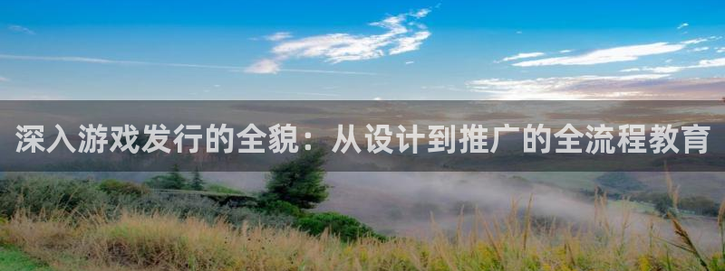 tp钱包授权之后怎么取消：深入游戏发行的全貌：从设计到推广的全流程教育