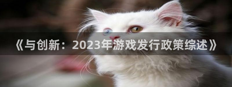 TP钱包需要实名认证吗：《与创新：2023年游戏发行政策综述》