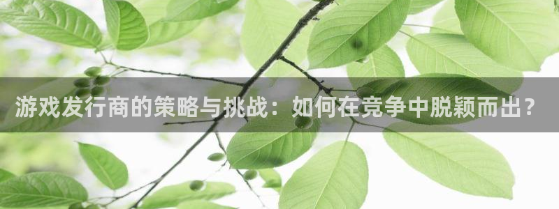 tp钱包heco转bsc：游戏发行商的策略与挑战：如何在竞争中脱颖而出？