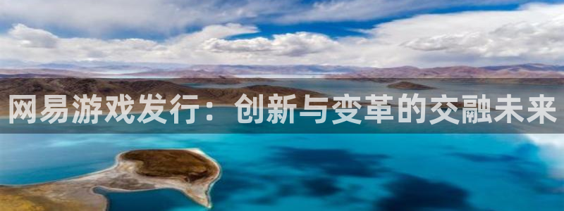 tp钱包如何转出usdt：网易游戏发行：创新与变革的交融未来