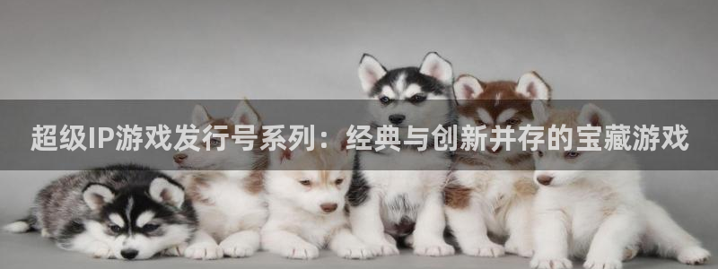 tp钱包打不开了