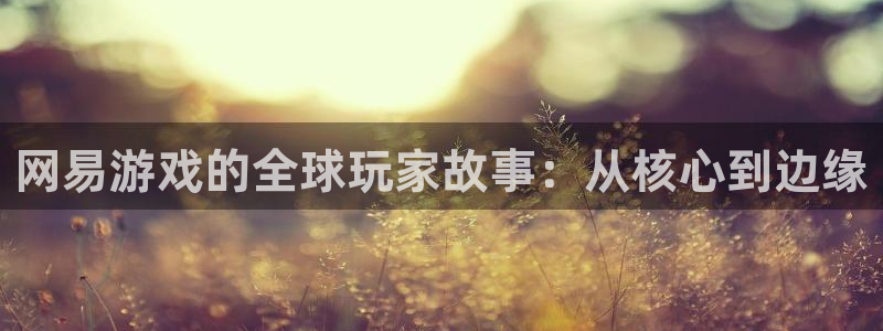 tp钱包下载平台安全吗可靠吗：网易游戏的全球玩家故事：从核心到边缘