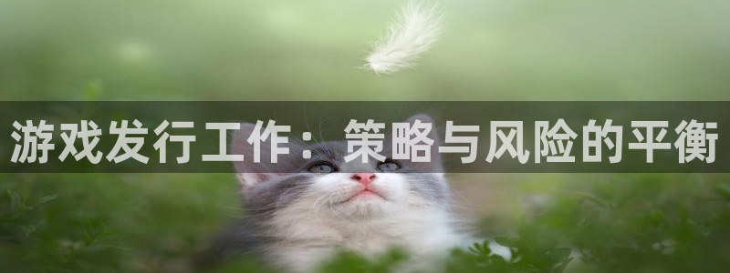 tp钱包怎么互转