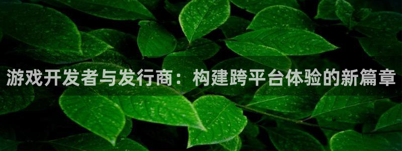 tp钱包怎么更新